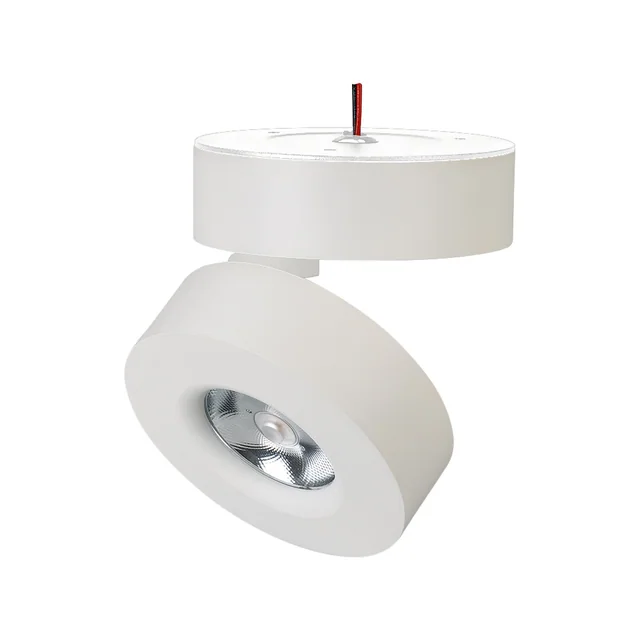Светильник SP-MONA-SURFACE-R100-12W Day4000 (WH, 24 deg) (Arlight, IP40 Металл, 3 года), артикул 025439(1)