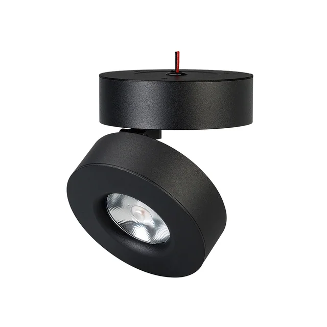 Светильник SP-MONA-SURFACE-R100-12W Day4000 (BK, 24 deg) (Arlight, IP40 Металл, 3 года), артикул 025442(1)