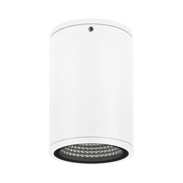 Светильник LGD-FORMA-SURFACE-R90-12W Day4000 (WH, 44 deg, 230V) (Arlight, IP54 Металл, 3 года), артикул 037259