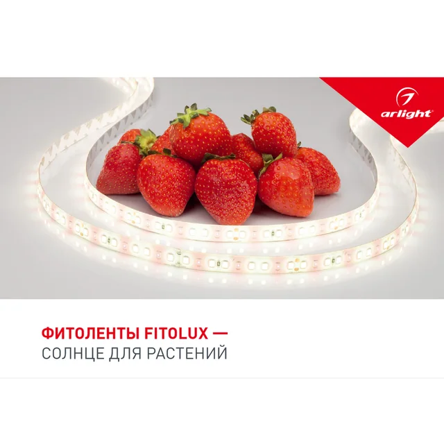 Буклет FITOLUX. 2022 (Arlight, -), артикул 038910(22)