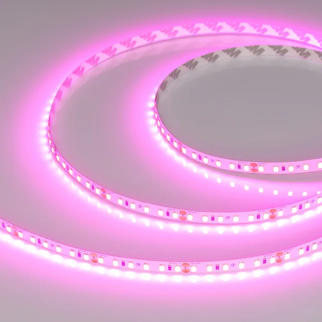 Лента RT-A120-8mm 24V Magenta (9.6 W/m, IP20, 2835, 5m) (Arlight, -), артикул 043381