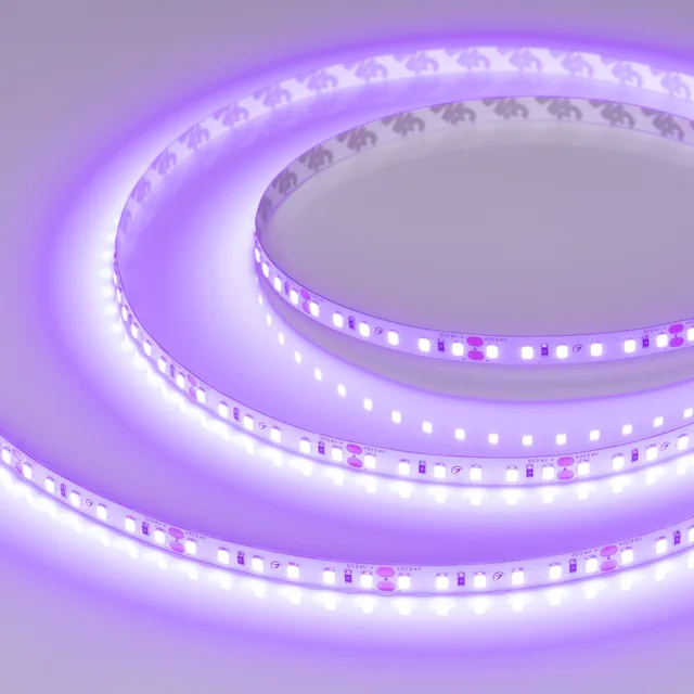 Лента RT-A120-8mm 24V Violet (9.6 W/m, IP20, 2835, 5m) (Arlight, -), артикул 043384