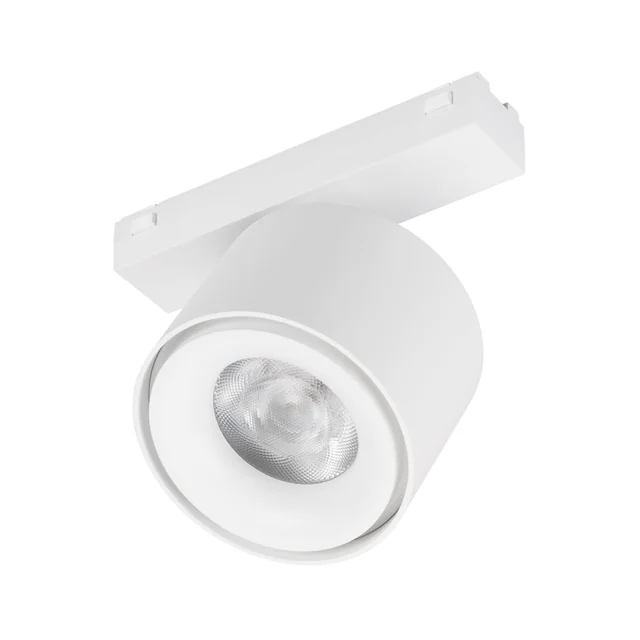 Светильник MAG-VIBE-POINT-R75-10W Day4000-MIX (WH, 24 deg, 48V, DALI) (Arlight, IP20 Металл, 5 лет), артикул 045001