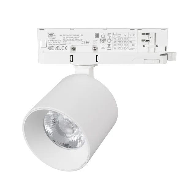 Светильник LGD-DYKE-4TR-R90-26W Day4000 (WH, 50 deg, 230V) (Arlight, IP20 Металл, 5 лет), артикул 052287